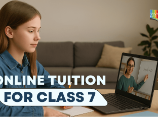 private-tuition-classes-for-class-7-student-individual-support-for-better-learning