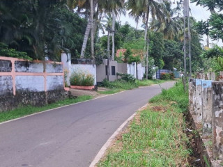 12-perches-land-for-sale-at-miriswatte-negombo