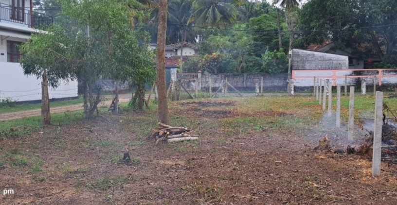 12-perches-land-for-sale-at-miriswatte-negombo-big-3