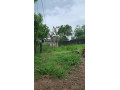 20-perch-land-for-sale-piliyandala-prime-location-small-2