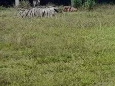 land-for-sale