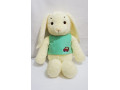 handmade-soft-toy-cuddly-bunny-small-3