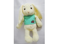 handmade-soft-toy-cuddly-bunny-small-4