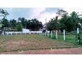 242-perches-land-in-miriswatte-negombo-small-3