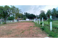 242-perches-land-in-miriswatte-negombo-small-2